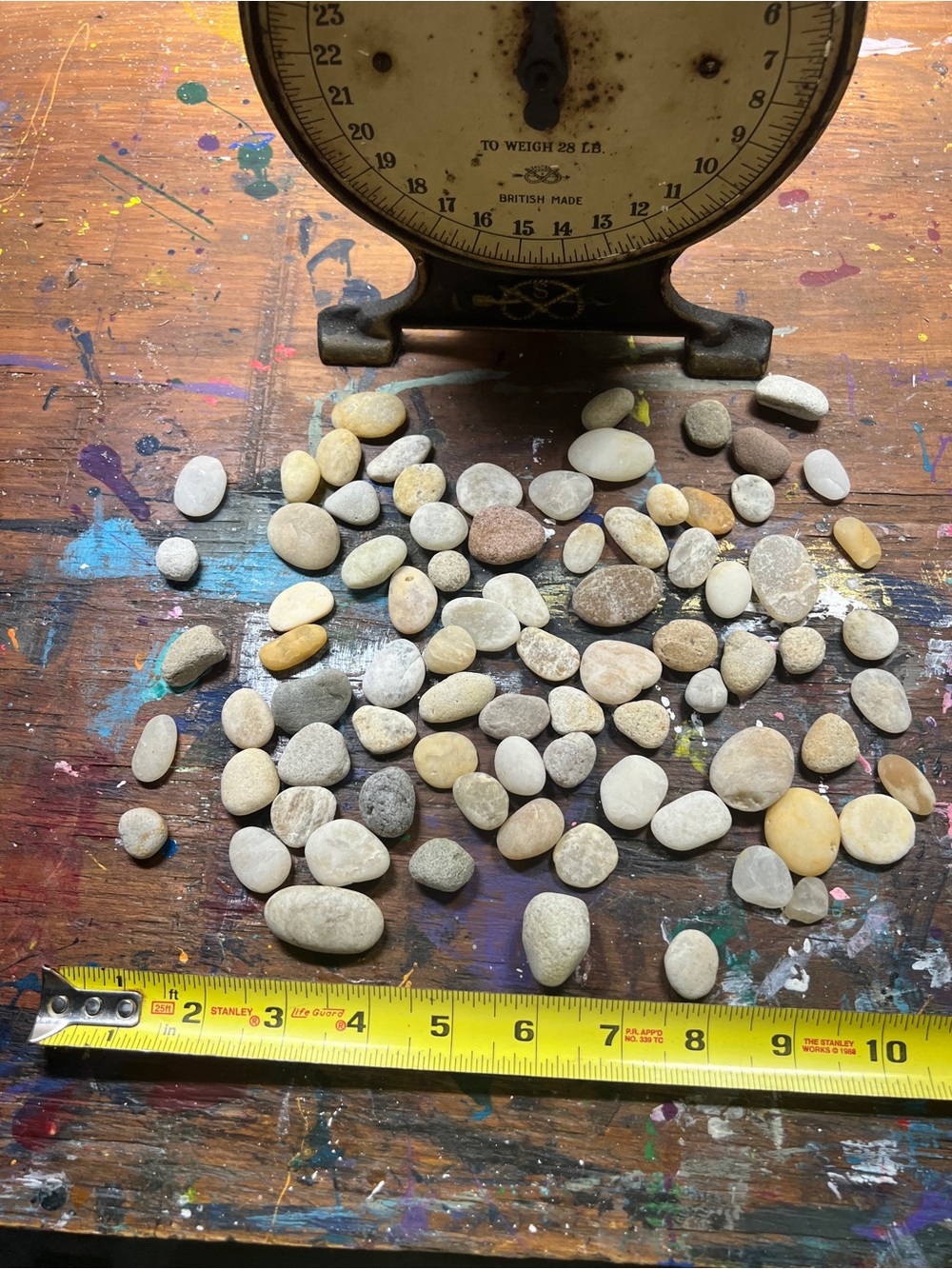 Potomac River natural rocks- Neutral Tones